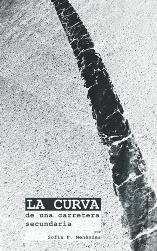 Libro: La Curva De Una Carretera Secundaria (edición En