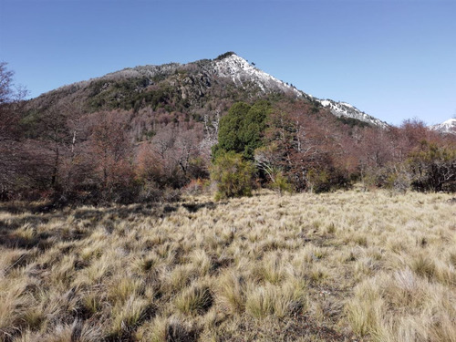 Terreno 5.000 M2, Sector Caracoles, Malalcahuello