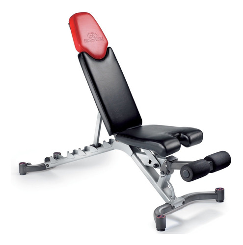 Bowflex Selecttech Ajustable Fs