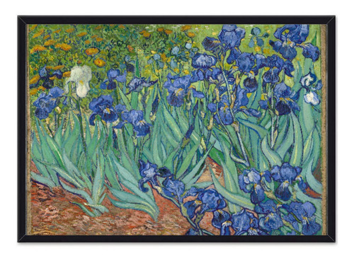 Cuadro Enmarcado - Vincent Van Gogh