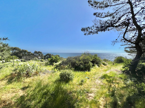 Terreno Plano En Venta En Primera Línea De Zapallar Norte