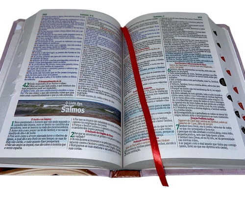 Bíblia Sagrada Evangélica Letra Gigante Com Índice - Abençoada Por Deus - Feminina Versão Almeida Revista E Corrigida Com Harpa E Corinhos Linda Capa Luxo