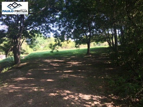 Imagem 14 de 17 de Área De 31.500m Comercial / Residencia Na Rodovia Lix Da Cunha. - Te01509 - 33411597