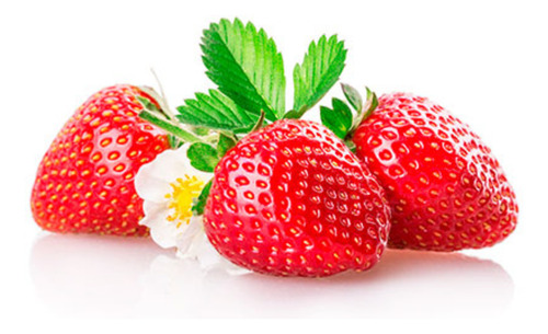 Mermelada Regimel Frutilla Bolsa 200 G