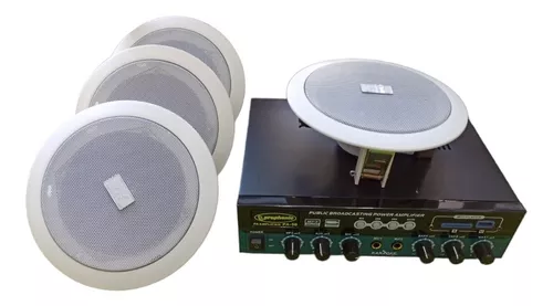 Amplificador Sonido Ambiental Más 2 Parlante De Techo