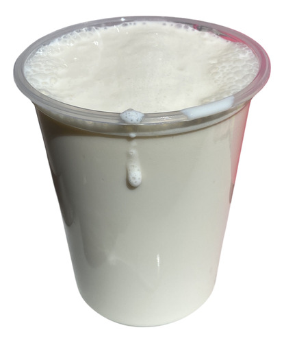 Kefir De Leche 1 Lt