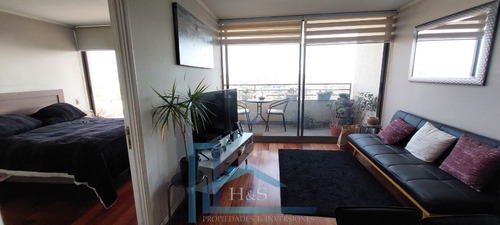 Vendo Amplio Departamento 1 Dormitorio - Est Y Bod En Ñuñoa