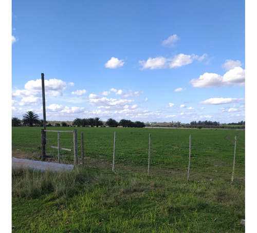 Vendo Muy Lindo Campo Sobre Ruta 33 Casa Todo Alambrado En 4 Potreros, Aguadas