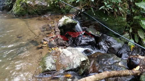 Imagem 6 de 15 de Chácara Em Canelinha - Canelinha, Sc - 129