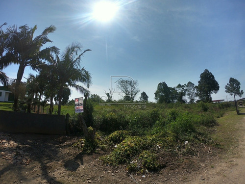 Imagem 4 de 15 de Terreno Comercial - Sangao - Ref: 30533 - V-30531