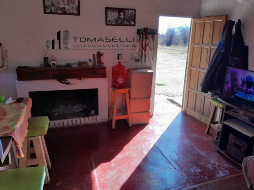 Venta - Chacra Con Casa Y Plantacion- Rama Caida - Mendoza