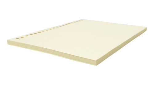 Refil Em Branco Para Caderno Fichário A5 20 Furos