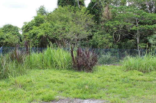 Lindo Terreno Com 7835m2 E 80% De Aproveitamento - Ch0003