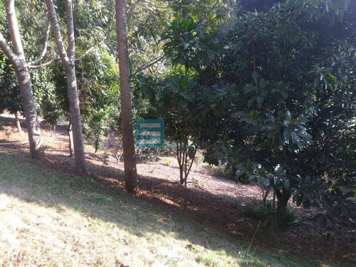 Imagem 12 de 15 de Edinaldo Santos - Vale Do Tinguá Granja De 6.000m2 Com Casa Ref 974 - 974