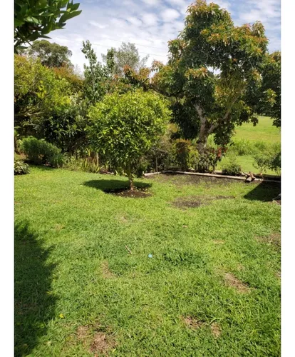 Finca En Vender En Rionegro