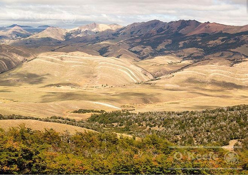 Imagen 13 de 24 de Campo De 2400 Has En Venta En Bariloche - Patagonia Argentina - Fly Fishing