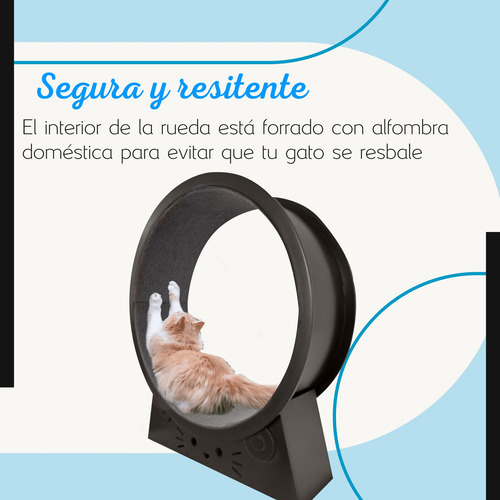Rueda De Correr Para Gato Madera Juguete Y Ejercicio Mediana