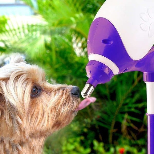 Imagem 2 de 3 de Bebedouro Bilha Lambe Lambe Cães E Gatos Automático Truqy