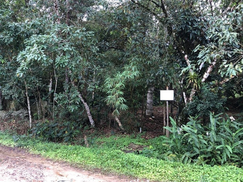 Imagem 1 de 13 de Terreno À Venda Em Itanhaém