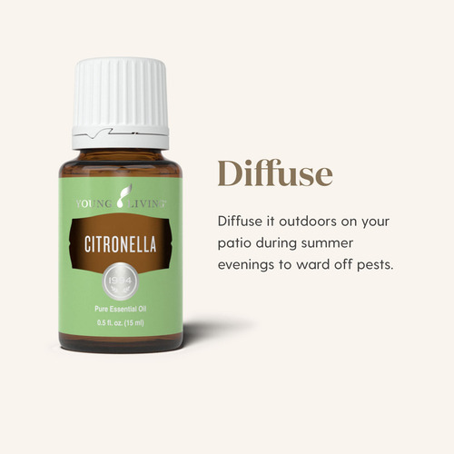 Citronella Essential Oil 15ml By Young Living Essential Oils