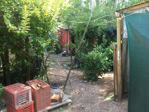 Imagen 13 de 30 de Casa + Vivero En Balneario Argentino