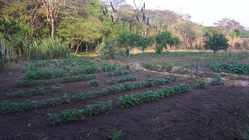Imagem 2 de 17 de Chácara Com 3 Dormitórios À Venda, Jardim Majestic, Sao Jose Dos Campos - Sp - 3445