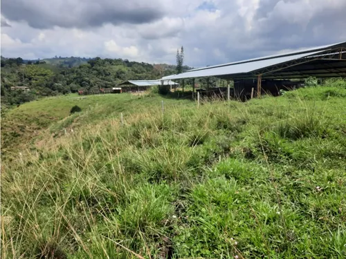 Venta Finca Ganadera Filandia Via Quimbaya - 41 Cuadras