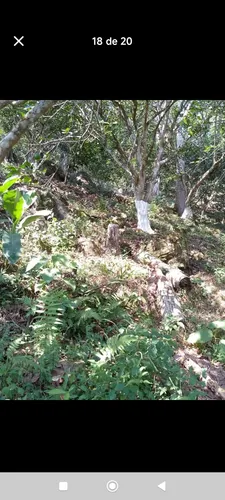 Parcela De Una Hectárea De Tierra Con 180 Metros Cuadrados C