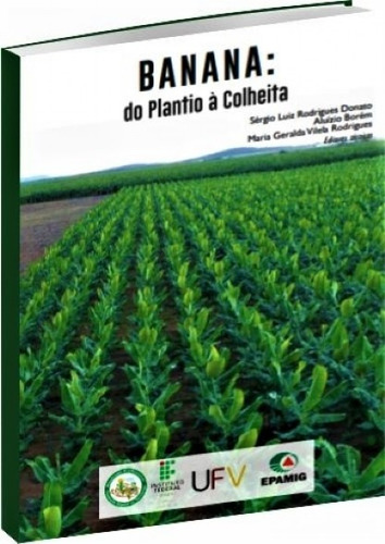 Banana: Do Plantio À Colheita