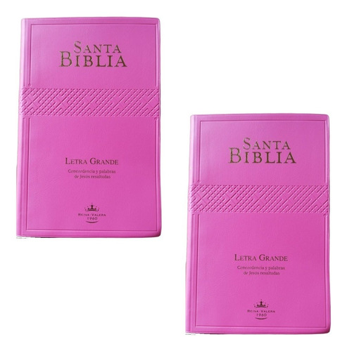 Santa Biblia Concordancia Palabras Jesús Resaltada Fucsia