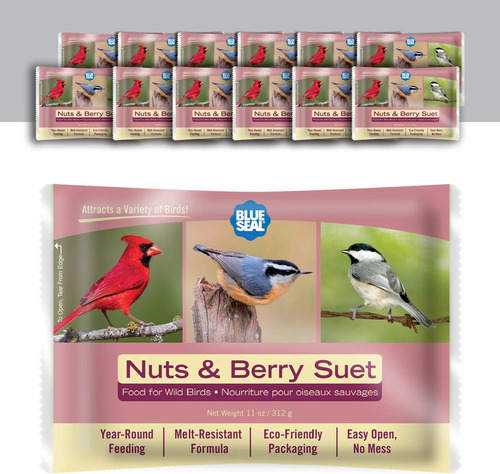 Nuts & Berry Suet Cake | Seo De Aves Silvestres Sin Ensuciar