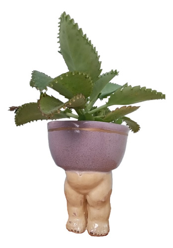Maceta Diseño Decoracion Suculenta Cactus Ceramica Con Pie