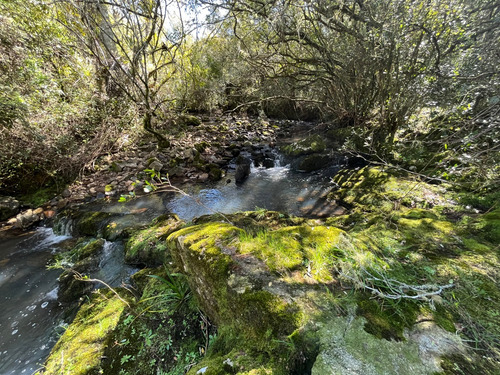 Chacra En Venta Sierras De Aiguá