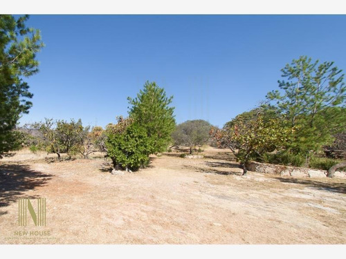 Imagen 7 de 7 de Terreno En Venta Canoas