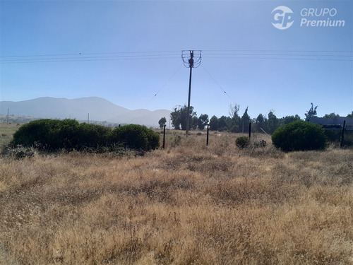 Agrícola En Venta En Quintero