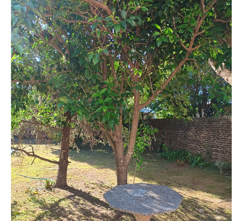 Casa Con Parque Y Pileta - Merlo Norte