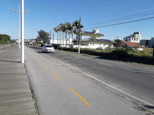 Imagem 5 de 10 de Terrenos - Ref: V698