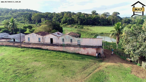 Imagem 14 de 15 de Fazenda Para Venda Em Gongogi, Zona Rural - 736_1-2090754
