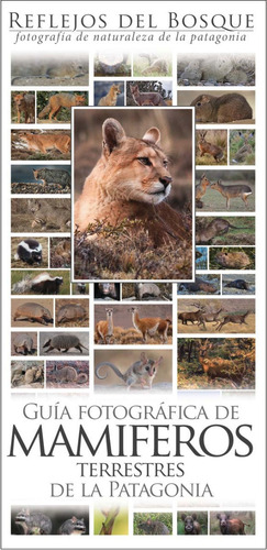 Imagen 8 de 10 de 3 Guías Fotograficas De Naturaleza De La Patag. A Elección