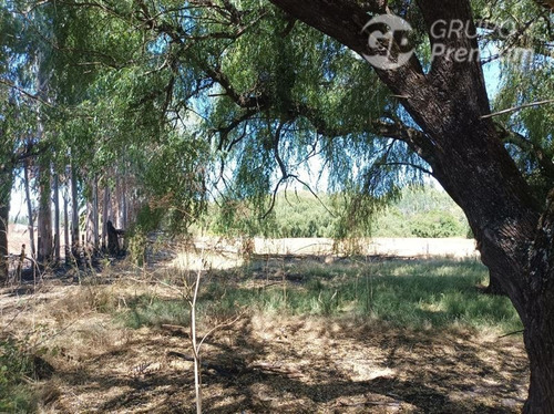 Imagen 7 de 17 de Terreno Agrícola En Venta En Victoria