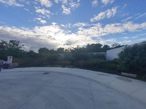 Imagen 3 de 30 de Terreno En Venta En Nortemerida