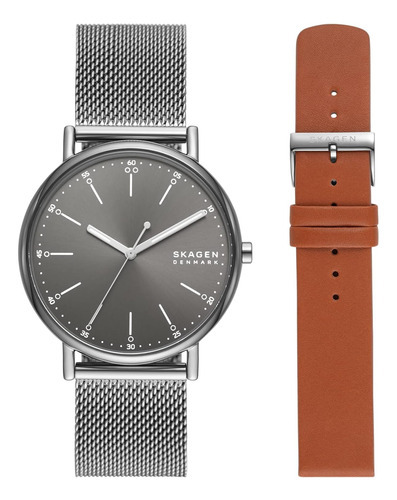 Reloj Para Hombre Skagen Signatur/gris