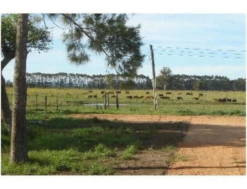 Quinta En Venta De 2 Dormitorios En Jose Ignacio
