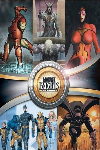 Marvel Knights Astonishing X-men Black Panther Iron Man 
