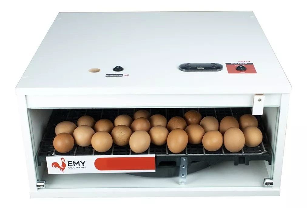 Tercera imagen para búsqueda de incubadora de huevos