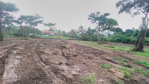 Venta Terreno 5,000 A 30,000 M² Frente Al Río Juana Moza Tuxpan Veracruz