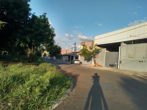Comercial - Aluguel - Jardim Novo Cambui - Cod. Ba0028 - Lba0028