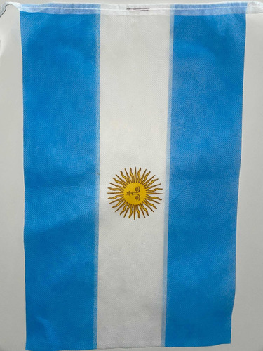 Bandera Argentina 45x25 Cm Friselina