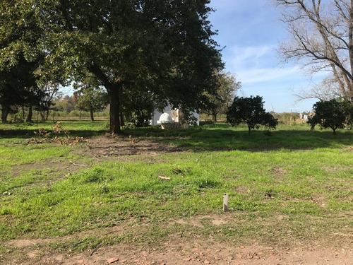 Imagen 6 de 30 de Terreno - Ibarlucea