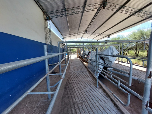 Campo 383 Ha En Conlara Merlo Lafinur San Luis. Con Riego Y Natural. Para Cría, Engorde, Tambo.